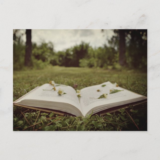 Vintage Photo | Book and Wildflowers Nature Scene Postcard (Front)