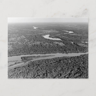 Vintage photo of Amazon Rainforest Postcard