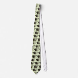 Vintage Photo Tie