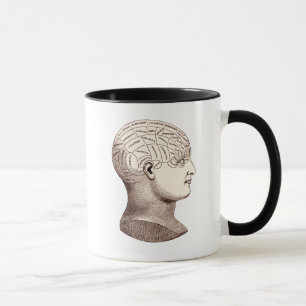 Vintage Phrenological Brain Sectional Coffee Mug