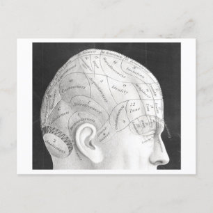 Vintage Phrenology Diagram Postcard