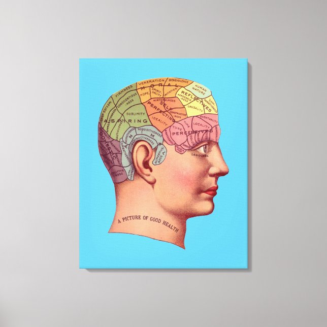 Vintage Phrenology Head Mind Brain Map Canvas Print (Front)