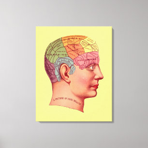 Vintage Phrenology Head Mind Brain Map Canvas Print