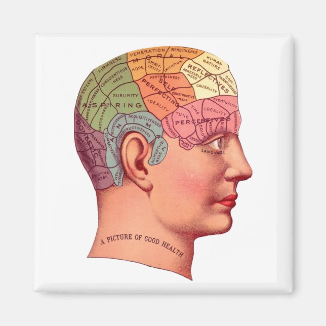 Vintage Phrenology Head Mind Brain Map Magnet (Front)