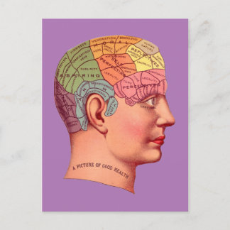Vintage Phrenology Head Mind Brain Map Postcard