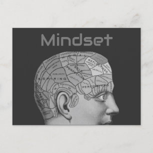 Vintage Phrenology Head Mind Mindset Brain Map Postcard