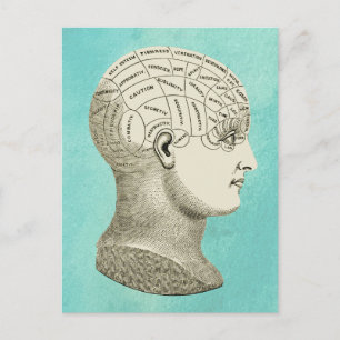 Vintage Phrenology Head Profile Image  Postcard