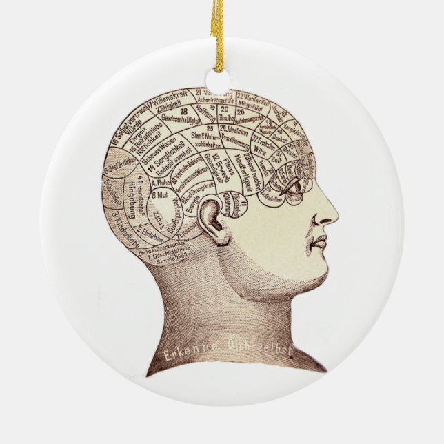 Vintage Phrenology Ornament Double Sided (Back)