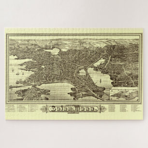 Vintage Pictorial Map Salem MA (1883) Jigsaw Puzzle