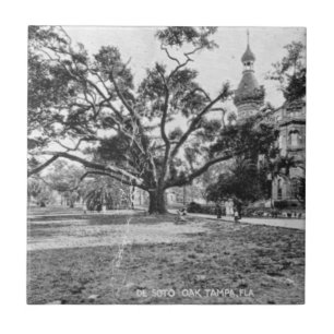 Vintage Pictures of Tampa Florida Tile