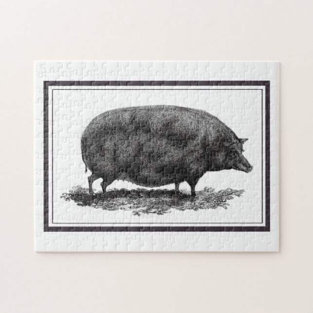 Vintage pig etching puzzle (Horizontal)
