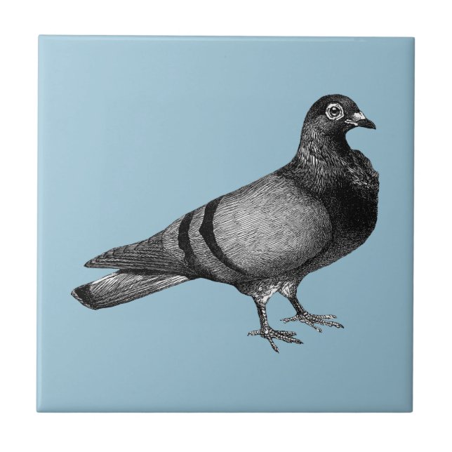 Vintage Pigeon gifts Tile (Front)