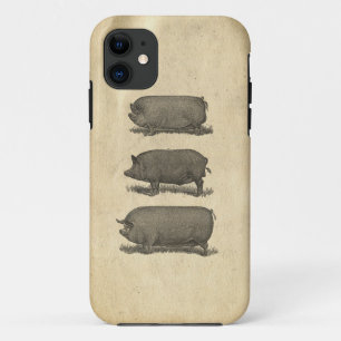 Vintage Pigs Case