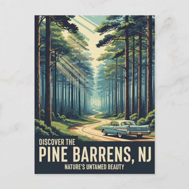 Vintage Pine Barrens New Jersey Travel Postcard (Front)
