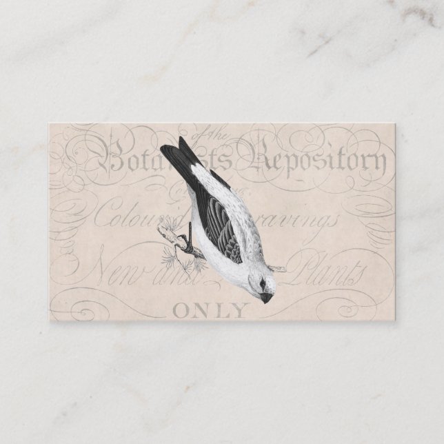 Vintage Pine Grossbeak Song Bird Illustration Business Card (Front)