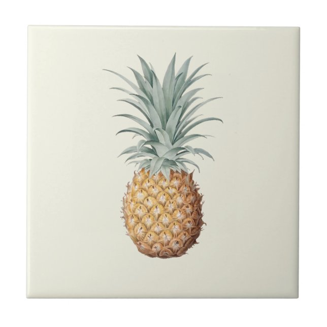 Vintage Pineapple Cream Tile (Front)