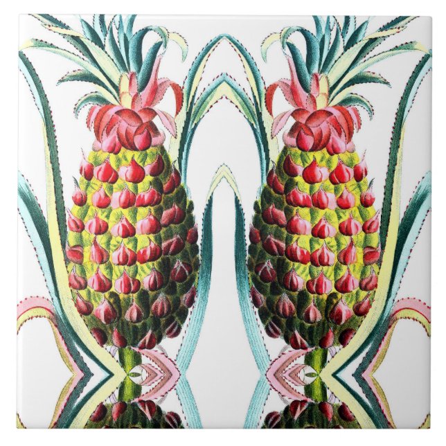 Vintage pineapple tropical fruit illustration tile (Front)