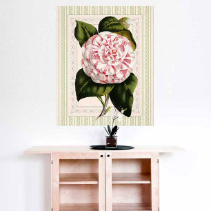 Vintage Pink and White Camellia Shabby Elegance Poster