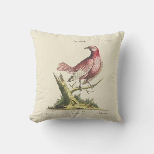 Vintage Pink Bird Pillow (Front)