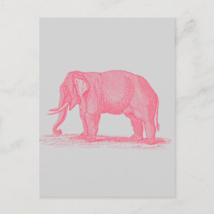 Vintage Pink Elephant on Grey 1800s Elephants Postcard