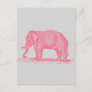 Vintage Pink Elephant on Grey 1800s Elephants Postcard