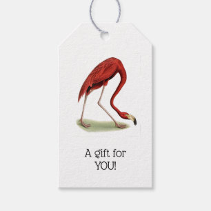 Vintage Pink Flamingo #1 Gift Tags