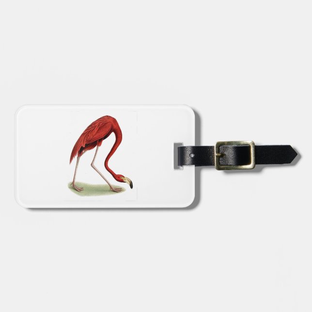 Vintage Pink Flamingo #1 Luggage Tag (Front Horizontal)