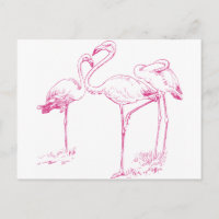 Vintage Pink Flamingo Drawing