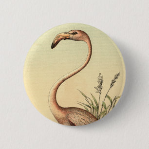 Vintage Pink Flamingo Illustration 6 Cm Round Badge