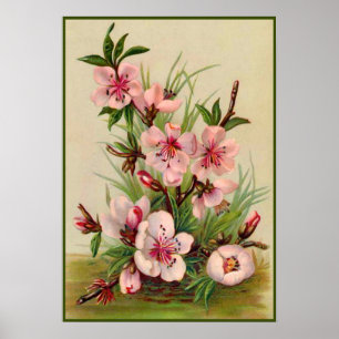 Vintage Pink Floral Poster