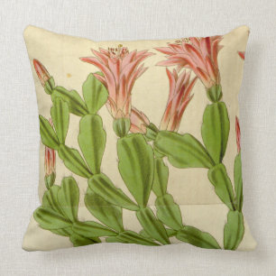 Vintage pink flowering cactus cushion