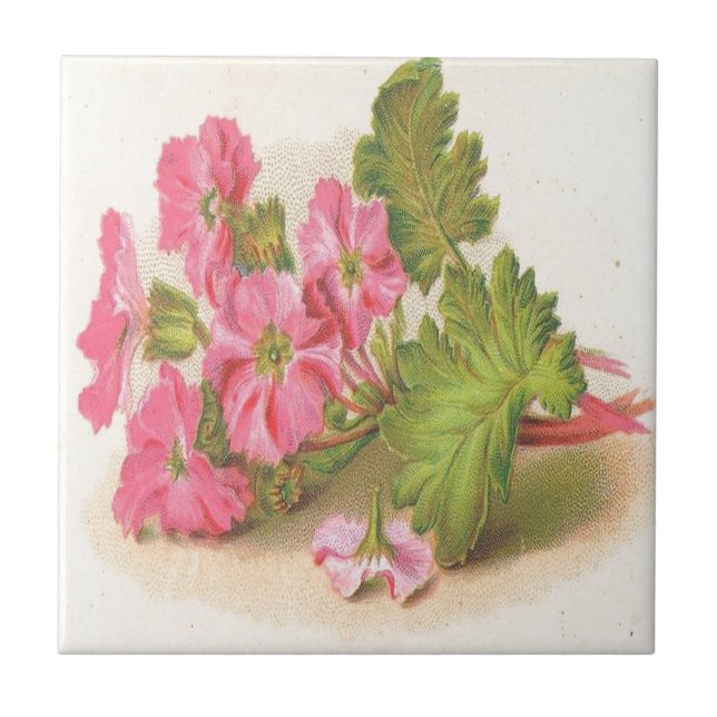 Vintage, Pink Flowers, Green Leaves, Tile (Front)