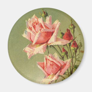 Vintage Pink Garden Roses for Valentine's Day Magnet
