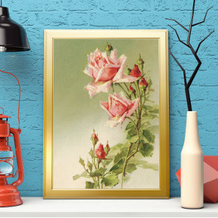 Vintage Pink Garden Roses for Valentine's Day Poster