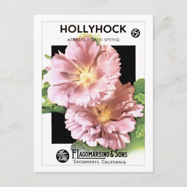 Vintage Pink Hollyhock Seed Packet Postcard (Front)