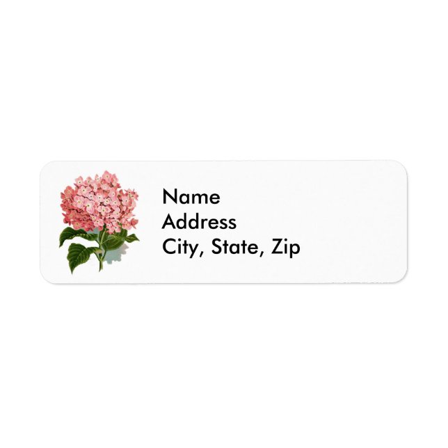 Vintage Pink Hydrangea Botanical Illustration  (Front)