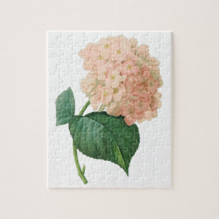 Vintage Pink Hydrangea Hortensia Flower by Redoute Jigsaw Puzzle