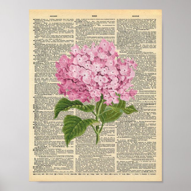 Vintage pink hydrangea on a vintage dictionary  poster (Front)