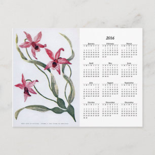 Vintage Pink Orchid 2016 Floral Calendar Postcard