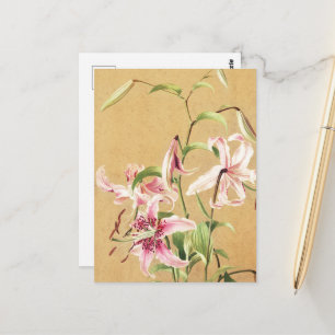 Vintage Pink Oriental Lily Botanical Flower Art Postcard