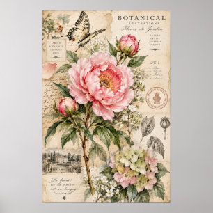 Vintage Pink Peony Butterfly Botanical Wall Art