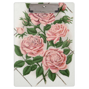 Vintage Pink Rose Botanical Cottagecore Art Clipboard