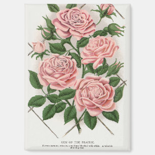 Vintage Pink Rose Botanical Cottagecore Art Magnet