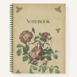 Vintage Pink Rose Botanical Floral Illustration Notebook