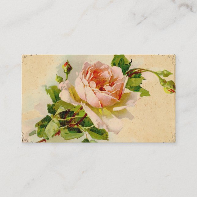 Vintage Pink Rose Business Profile Card (Front)