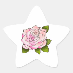 Vintage Pink Rose Drawing Star Sticker