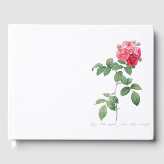 Vintage Pink Rose Feminist Garden Guest Book