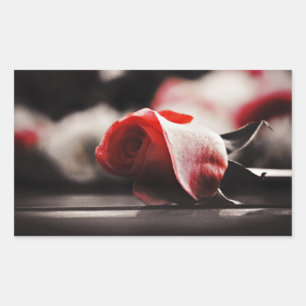 Vintage Pink Rose Flowers Rectangular Sticker