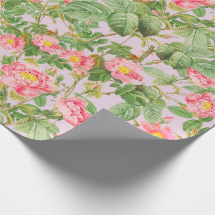 Vintage Pink Rose Gift Paper in Blush Lilac
