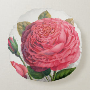 Vintage Pink Rose Illustration Round Cushion